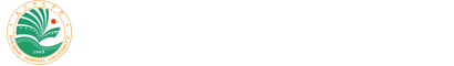 永利yl23411